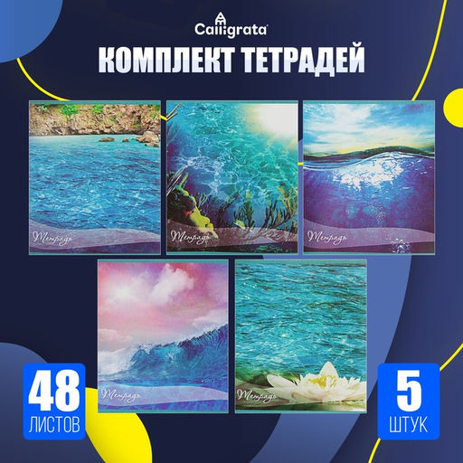 Комплект тетрадей из 5 шт, 48 листов, клетка, Океан, обложка мелованная бумага, блок №2, белизна 75% (серые листы) - Calligrata фото 3