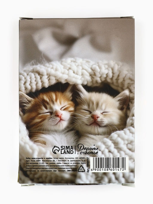 Набор мини-открыток в коробке со скрепками «Котики», 35 штук, 8 x 10 см