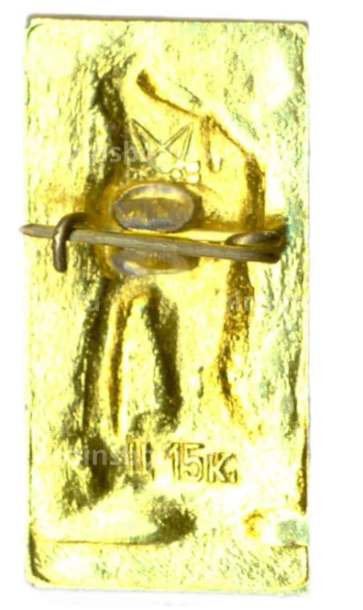 Значок Петродворец