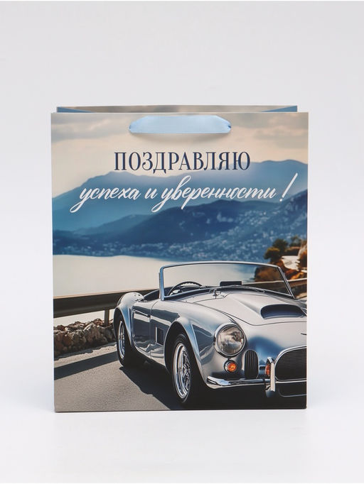 Цена за 2 шт. Пакет ламинированный «Поздравляю», ML 23 × 27 × 11,5 см