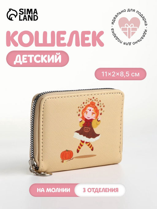 Кошелёк на молнии Фея зимы, отдел для карт, для монет, голубой