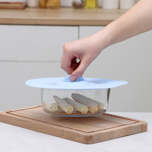 Крышка для хранения Доляна «Симпл», d=21 см, силикон, голубая