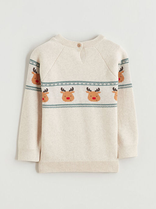 Bisiklet Yaka Erkek Bebek Kazak