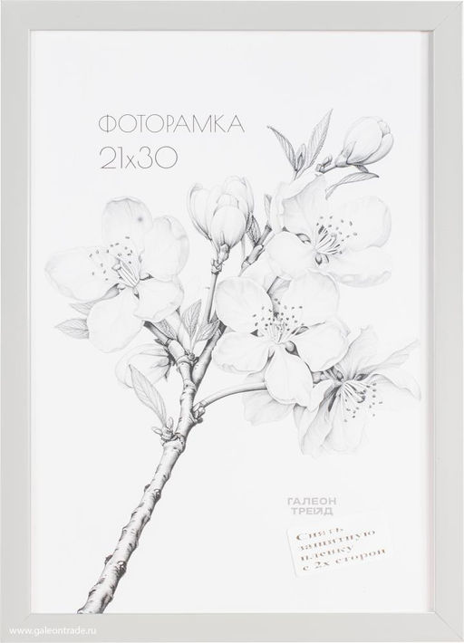 Фоторамка 21х30 с акриловым стеклом/ 1504А-012AL /уп10 ф - ГалеонТрейд фото 3