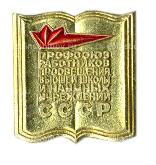 Значок Профсоюз работников просвещения высшей школы и учреждений СССР