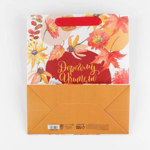 Цена за 2 шт. Пакет подарочный ламинированный, упаковка, «Дорогому учителю», ML 27×23×11.5 см