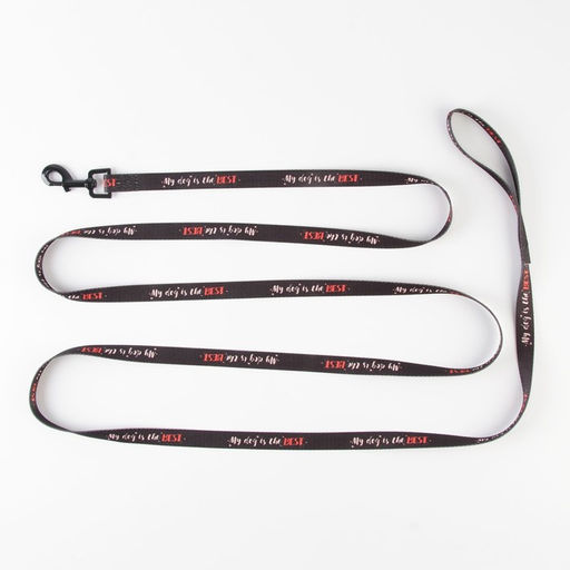 Поводок My dog is the best, 2 см, 3 м - Пушистое счастье фото 5