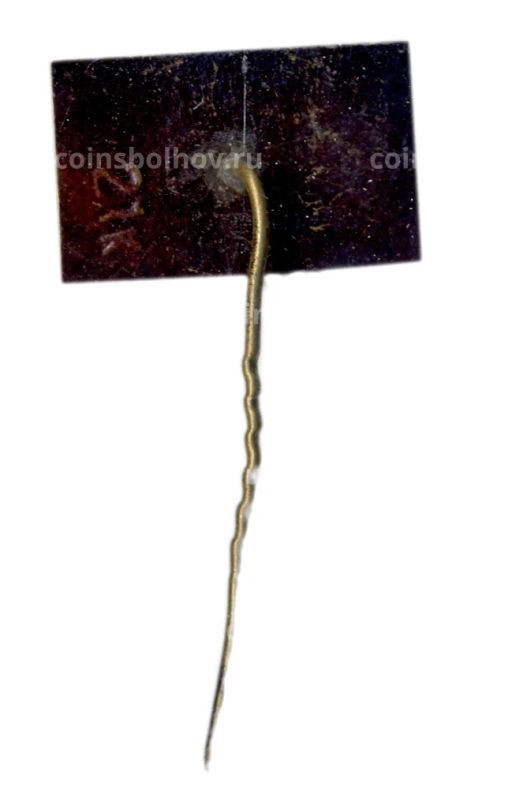 Значок Вильнюс