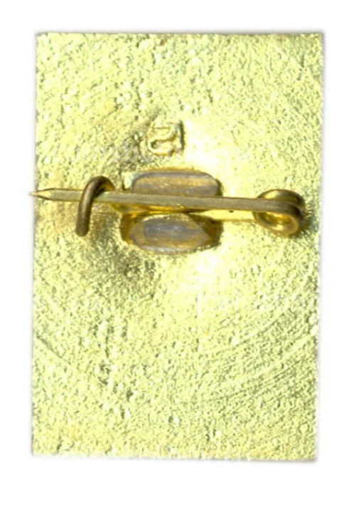 Значок Петродворец