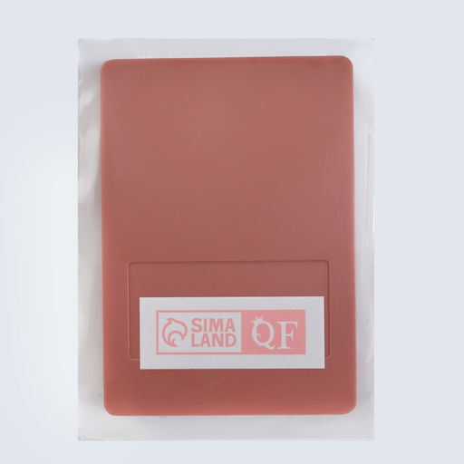 Набор кистей для макияжа PASTEL BLUSH, 5 шт., персиковый