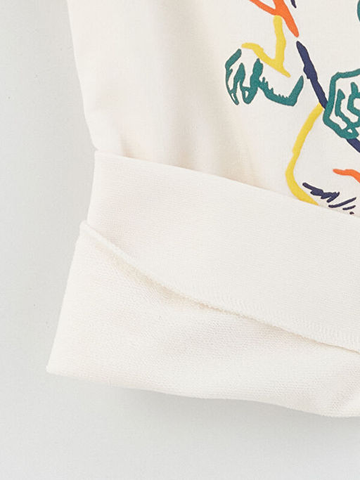 Bisiklet Yaka Bask?l? Uzun Kollu Erkek ?ocuk Sweatshirt - Waikiki фото 2