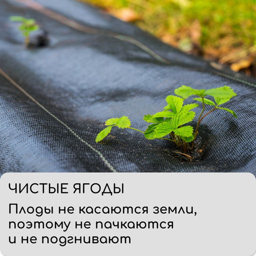 Агроткань застилочная, с разметкой, 5×3.2 м, плотность 100 г/м², полипропилен, Greengo, Эконом 50%
