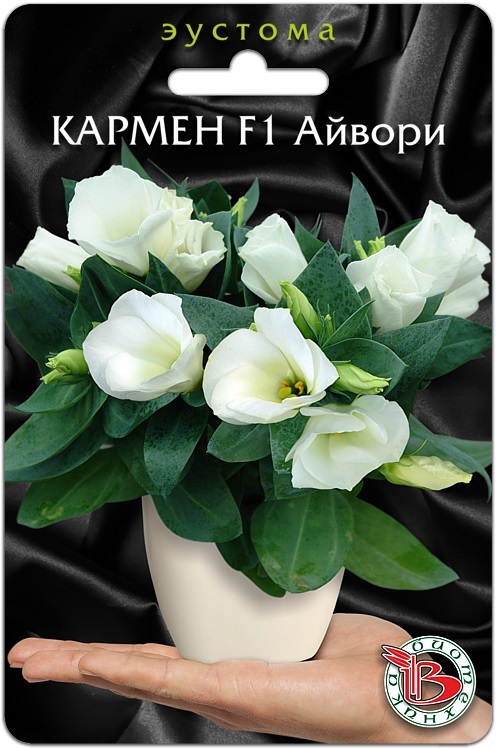Эустома горшечная Кармен F1 Айвори