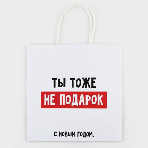 Пакет подарочный новогодний «Ты тоже не подарок», 22×22×11 см