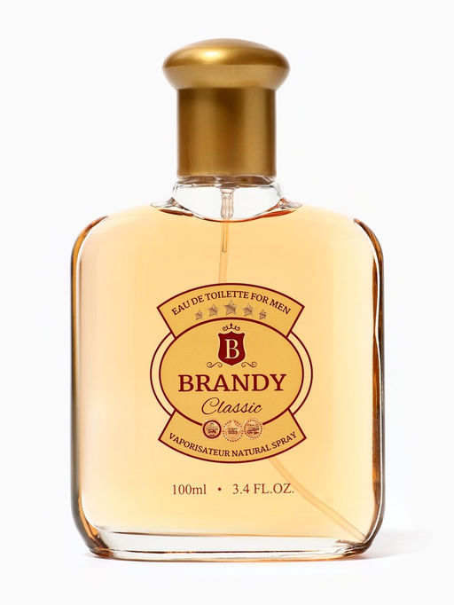Туалетная вода мужская Brandy Classic, 100 мл