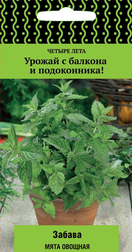 Мята овощная Забава (сер.Четыре лета) (А) 20шт - Поиск фото 2