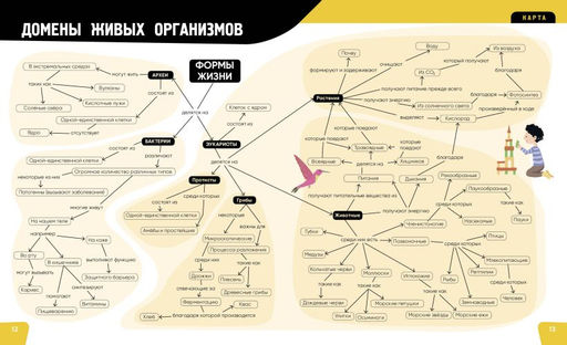 Тело человека. Самая анатомическая энциклопедия