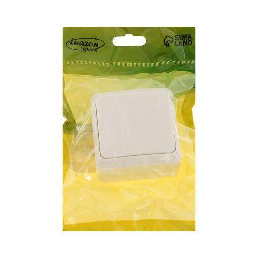 Цена за 2 шт. Выключатель Luazon Lighting "Лига", 10 А, 1 клавиша, накладной, белый