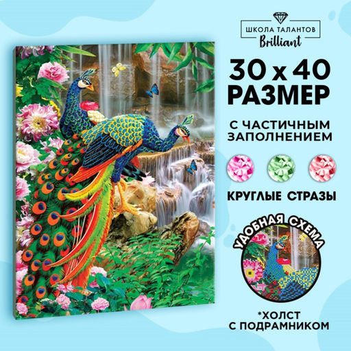 Алмазная мозаика с частичным заполнением на подрамнике «Павлины», 30×40 см