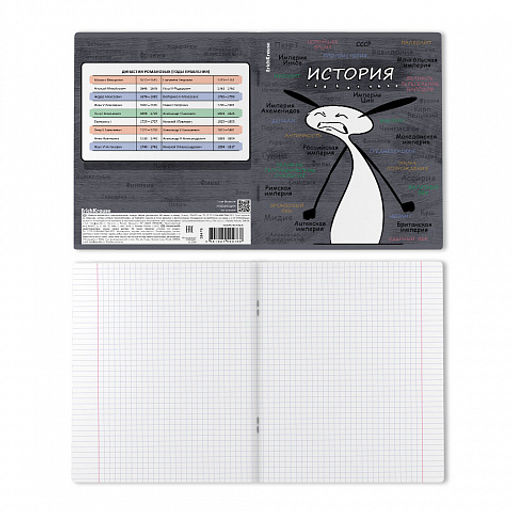 Цена за 5 шт. Тетрадь общая ученическая с пластиковой обложкой на скобе ErichKrause Чубрик, История, 48 листов, клетка  фото 2