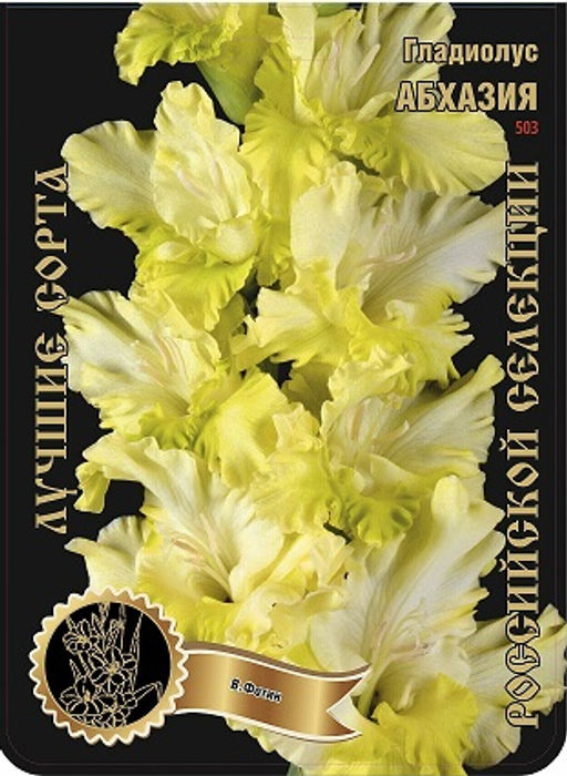 Гладиолус Абхазия 503,Фотин 1 р-р 7шт (Ф)