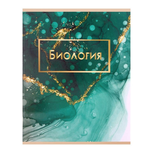 Тетради предметные Calligrata «Мрамор светлый», 10 предметов, 48 листов, со справочным материалом, обложка из мелованного картона