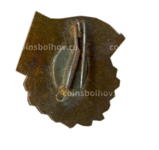 Значок ГДР школьный