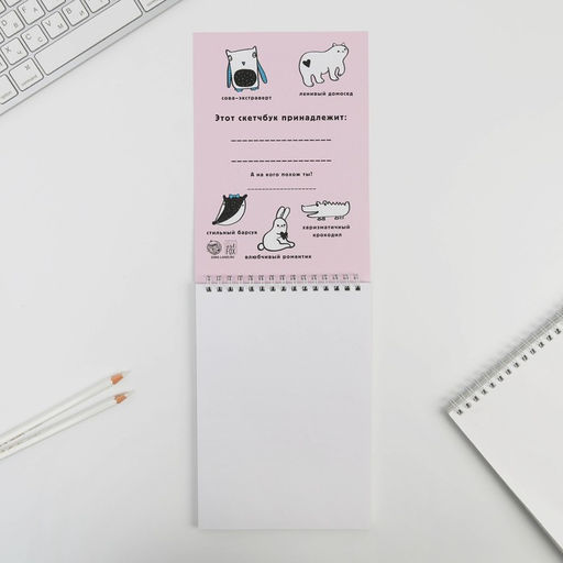 Скетчбук А5 Рисуй 40 л, 100 г/м - Artfox фото 3