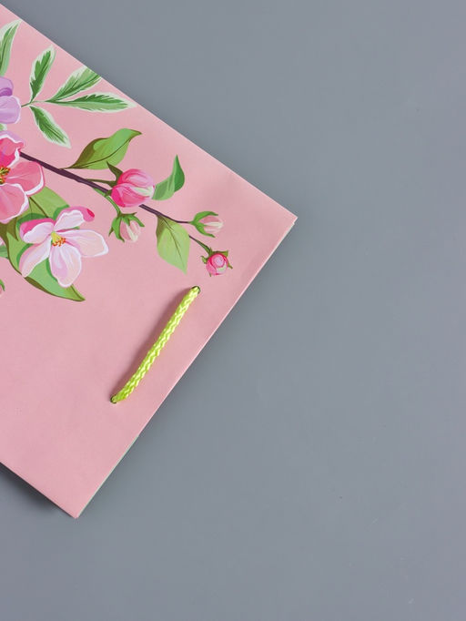 Пакет подарочный ламинированный «Нежный комплимент», розовый, 18×22.3×10 см