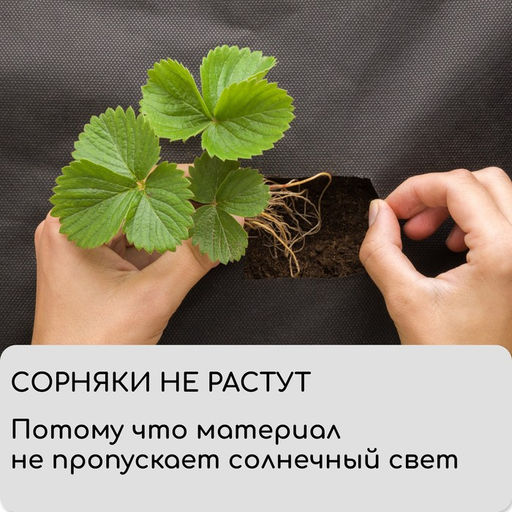 Материал мульчирующий, 10×3.2 м, плотность 60 г/м², спанбонд с УФ-стабилизатором, чёрный, Greengo, Эконом 30%