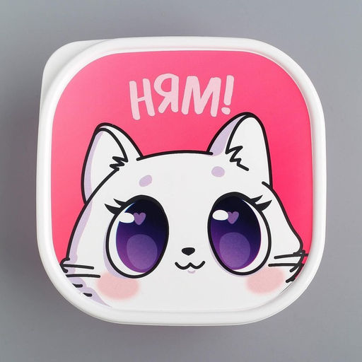 Цена за 2 шт. Ланч - бокс квадратный «Котик», 700 мл