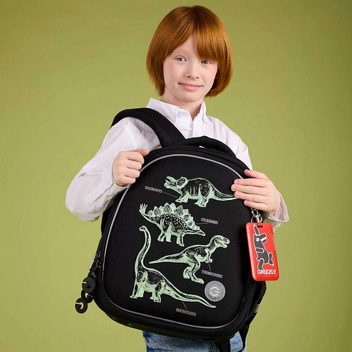 RAz-587-5 Рюкзак школьный - Grizzly фото 34