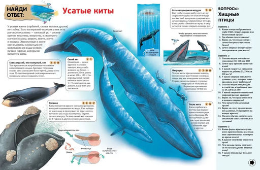 Интерактивная энциклопедия для школьников (нов.оф.*). Гиффорд К., Мейсон К., ОБрайен С.,... - Махаон фото 4