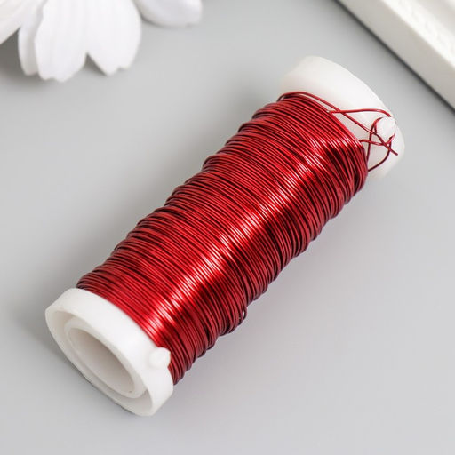 Проволока для творчества «Красный», 30 м, толщина 0.3 мм, 5.5×2.2×2.2 см