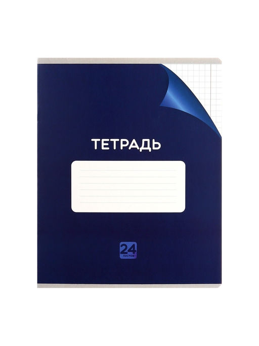 Набор тетрадей 24 листа в клетку Calligrata "Сочный Микс. Паттерн", серые листы, МИКС, 10 шт.