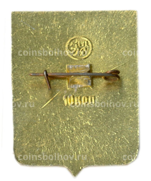 Значок Медынь