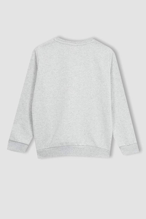 Толстый базовый свитшот для мальчиков с круглым вырезом - Defacto фото 8