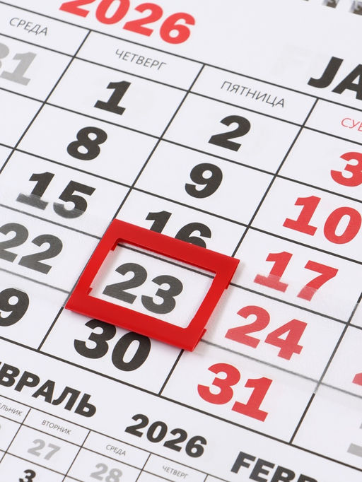 Календарь настенный квартальный 2026 «Лошадь с котенком», 30×46 см