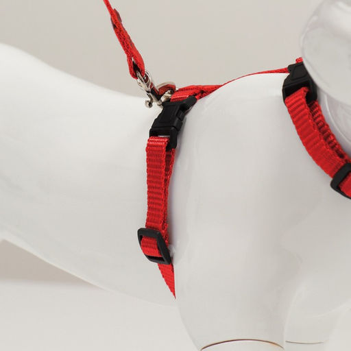 Комплект для кошек, ширина 1 см, ОШ 16,5-27 см, ОГ 21-35 см, поводок 120 см, красный - Пижон фото 3