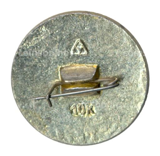 Значок Владимир