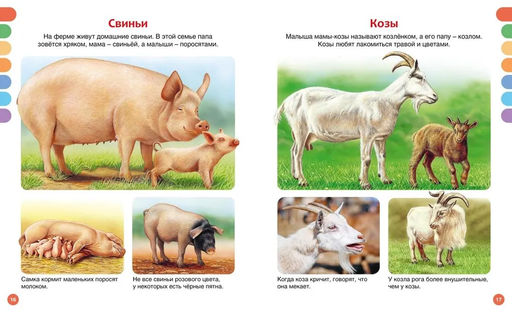 Животные разных стран. Бомон Э. - Издательство махаон фото 3