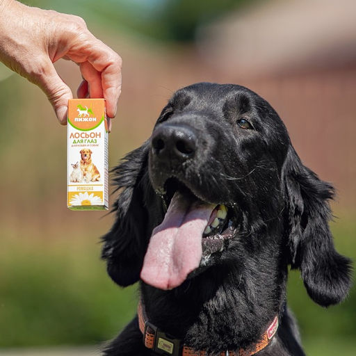 Лосьон для глаз Пижон для кошек и собак, 30 мл  фото 4