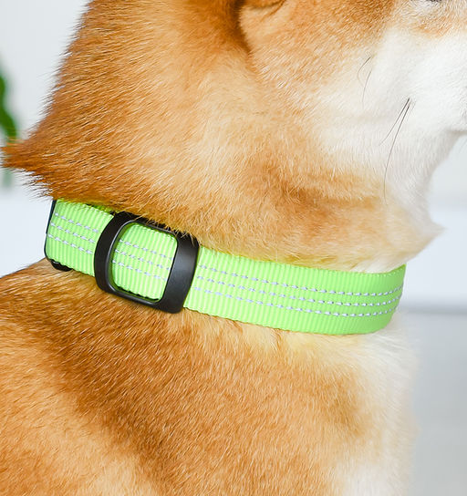ВИА Светодиодный ошейник "Барри", зелёный, размер L, 2,5x60см 88кит09