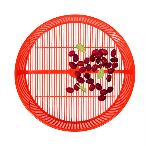 Сито для очистки ягод, d=36 см, h=7.6 см, пластик