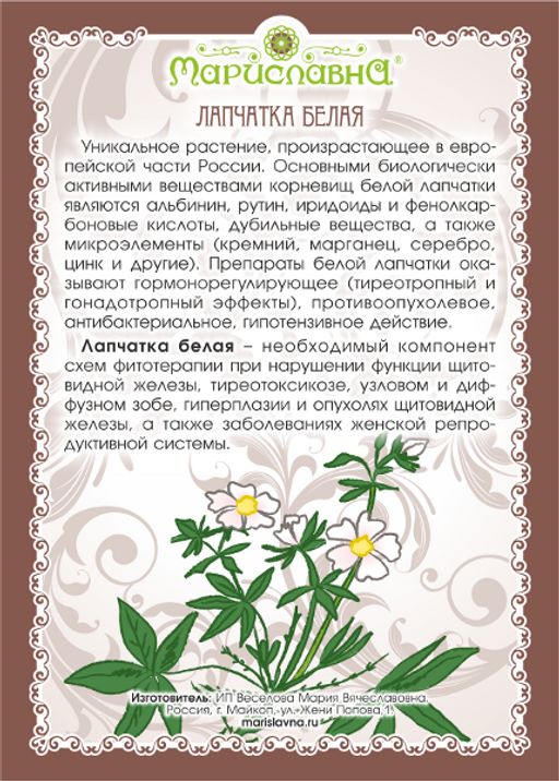 Лапчатка белая (молотый корень) - Мариславна фото 2