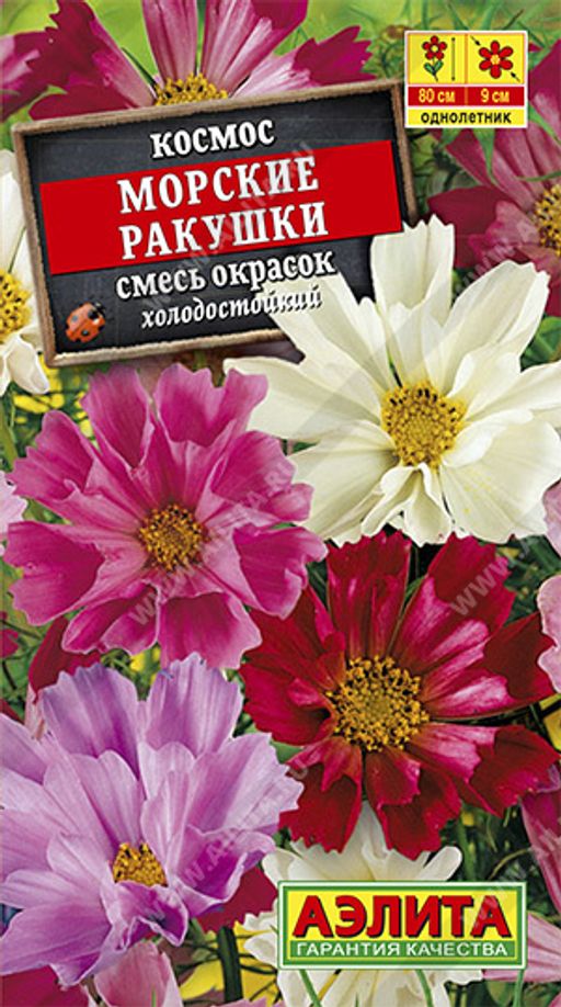 Космея Морские ракушки, смесь сортов (2026)