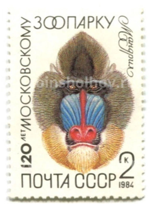 Марка 120 лет московскому зоопарку  Мандрил 1984 год