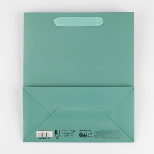 Цена за 2 шт. Пакет подарочный ламинированный, упаковка, «Тиффани», ML 23×27×11.5 см