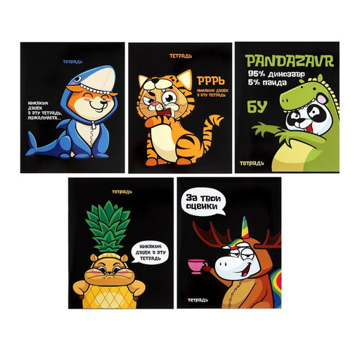 Комплект тетрадей из 5 шт, 48 листов, клетка, Кигуруми, обложка мелованный картон, блок офсет - Calligrata фото 2