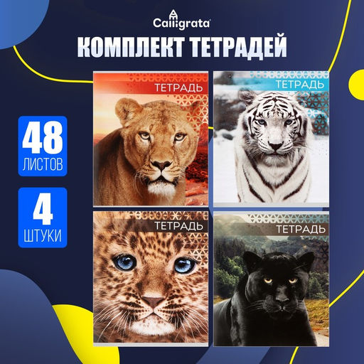 Комплект тетрадей из 4 штук, 48 листов в клетку Дикие кошки, обложка мелованный картон, блок №2, белизна 75% (серые листы) - Calligrata фото 2